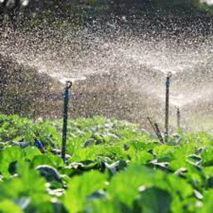 Mist Irrigation System
